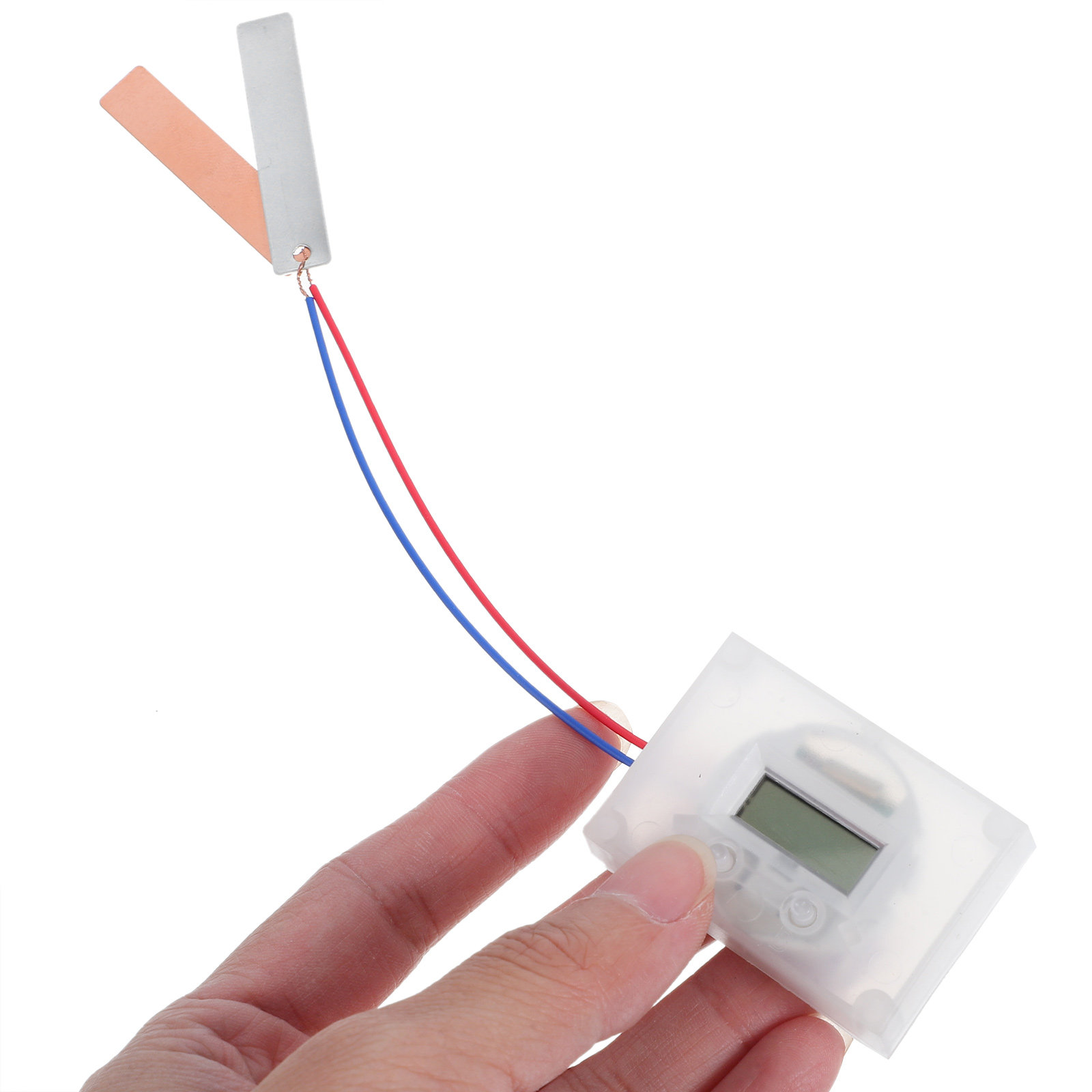 1Set Fruit Battery Experiment  - Diy Electronics Projects For Students ulasan dan harga