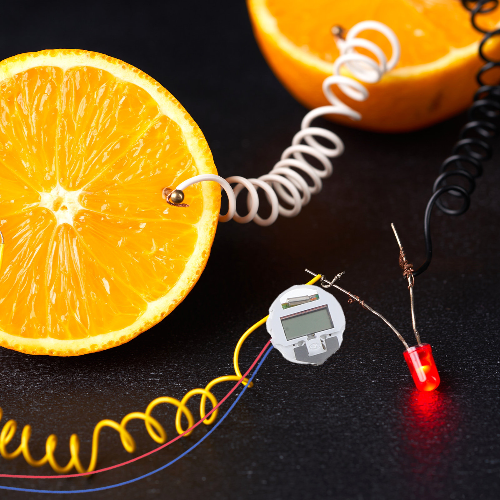 1Set Fruit Battery Experiment  - Diy Electronics Projects For Students ulasan dan harga